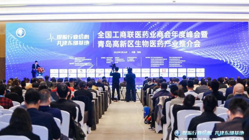 药用辅料纯度检测：标准解读与重要性