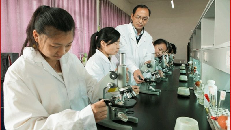 PEG4000粘度参数标准：揭秘粘度在医药制剂中的应用