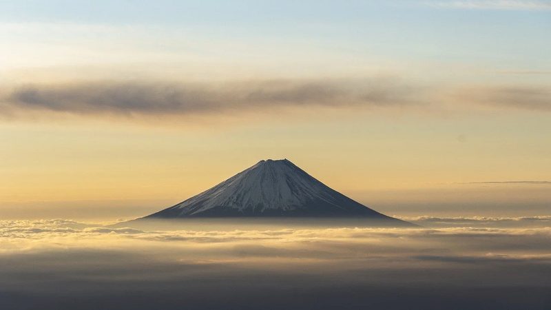 注射用辅料：制药过程中的关键角色**