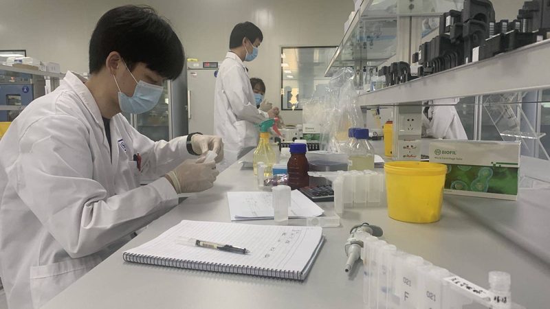 定制原料药中间体杂质控制：标准与挑战
