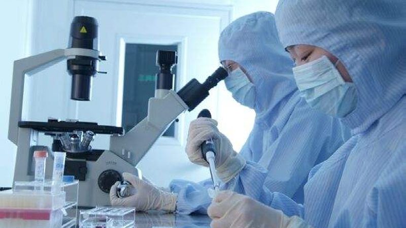 如何编制医药原料价格表：关键要素与注意事项